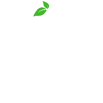 sustainableninja-logo-white-green-mini-square